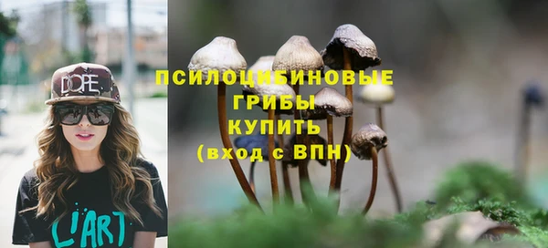 прущий лед Абаза