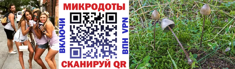 Псилоцибиновые грибы ЛСД  закладки  Змеиногорск 