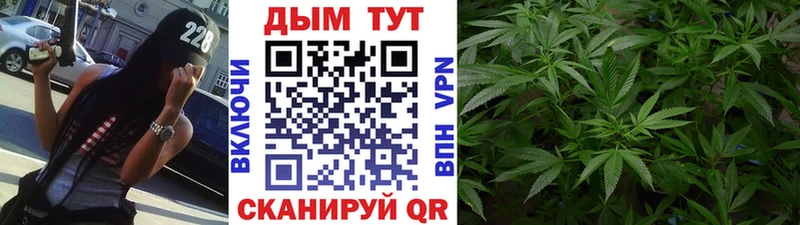 Бошки Шишки индика  мега маркетплейс  Змеиногорск 